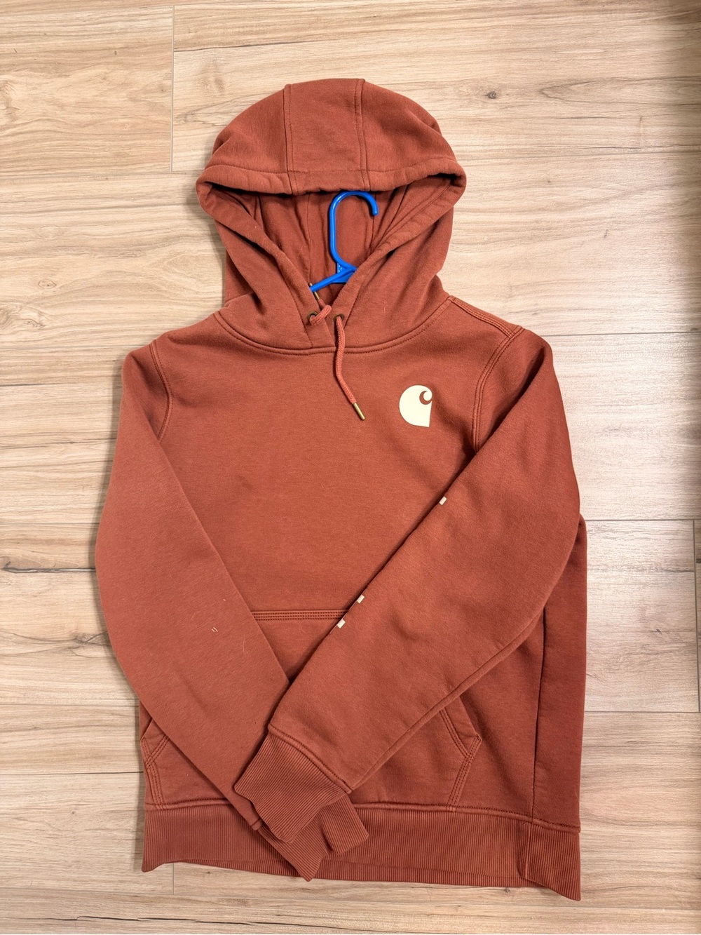 Carhartt Men’s Rust Hooded Sweatshirt